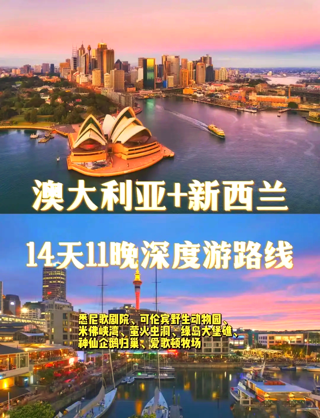 新西兰移民中域留学