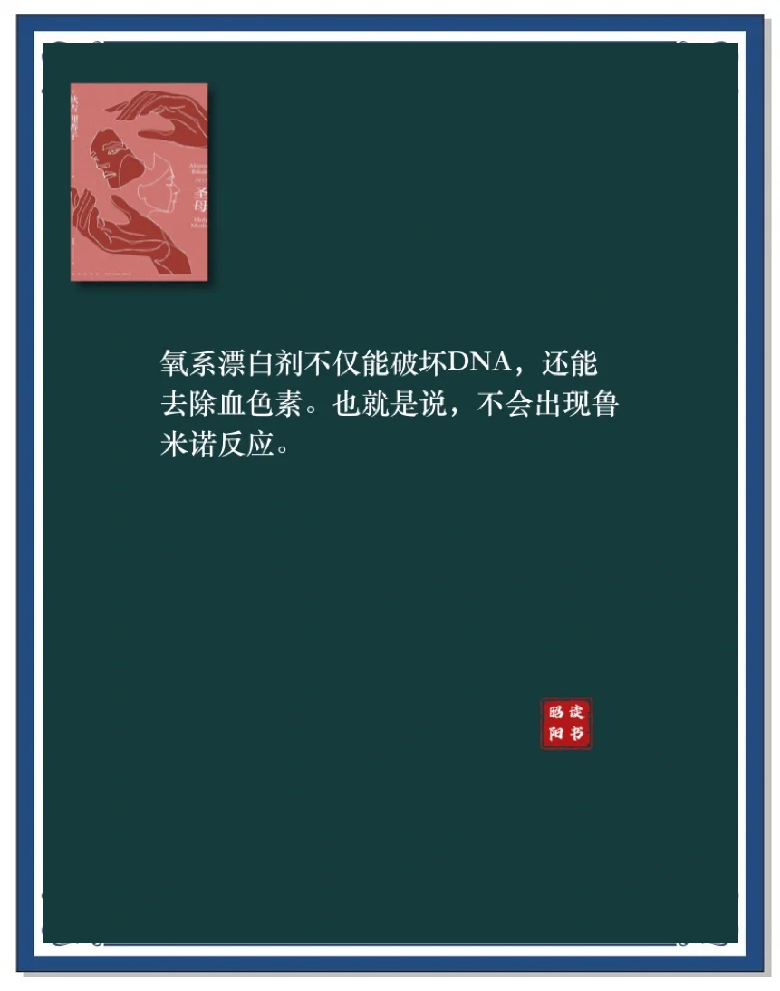 《圣母》结局