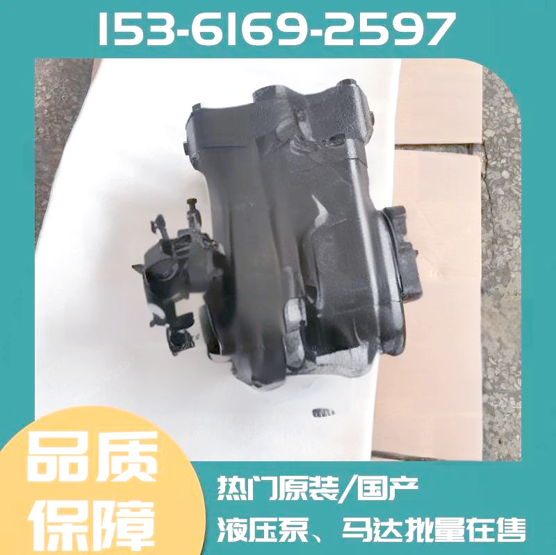 WG9925823012 manual fuel pump close-up