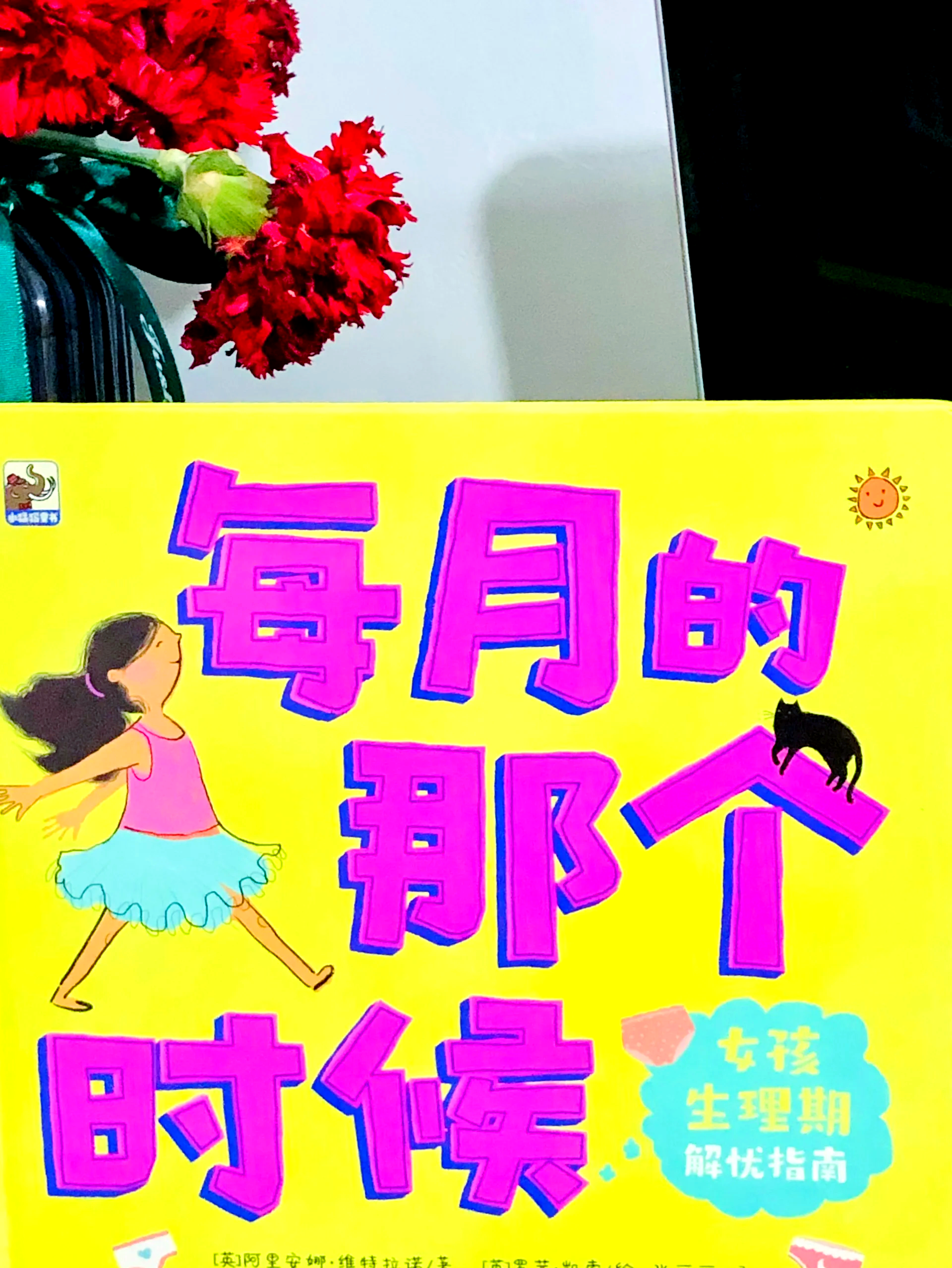 大姨妈和小姨妈的故事