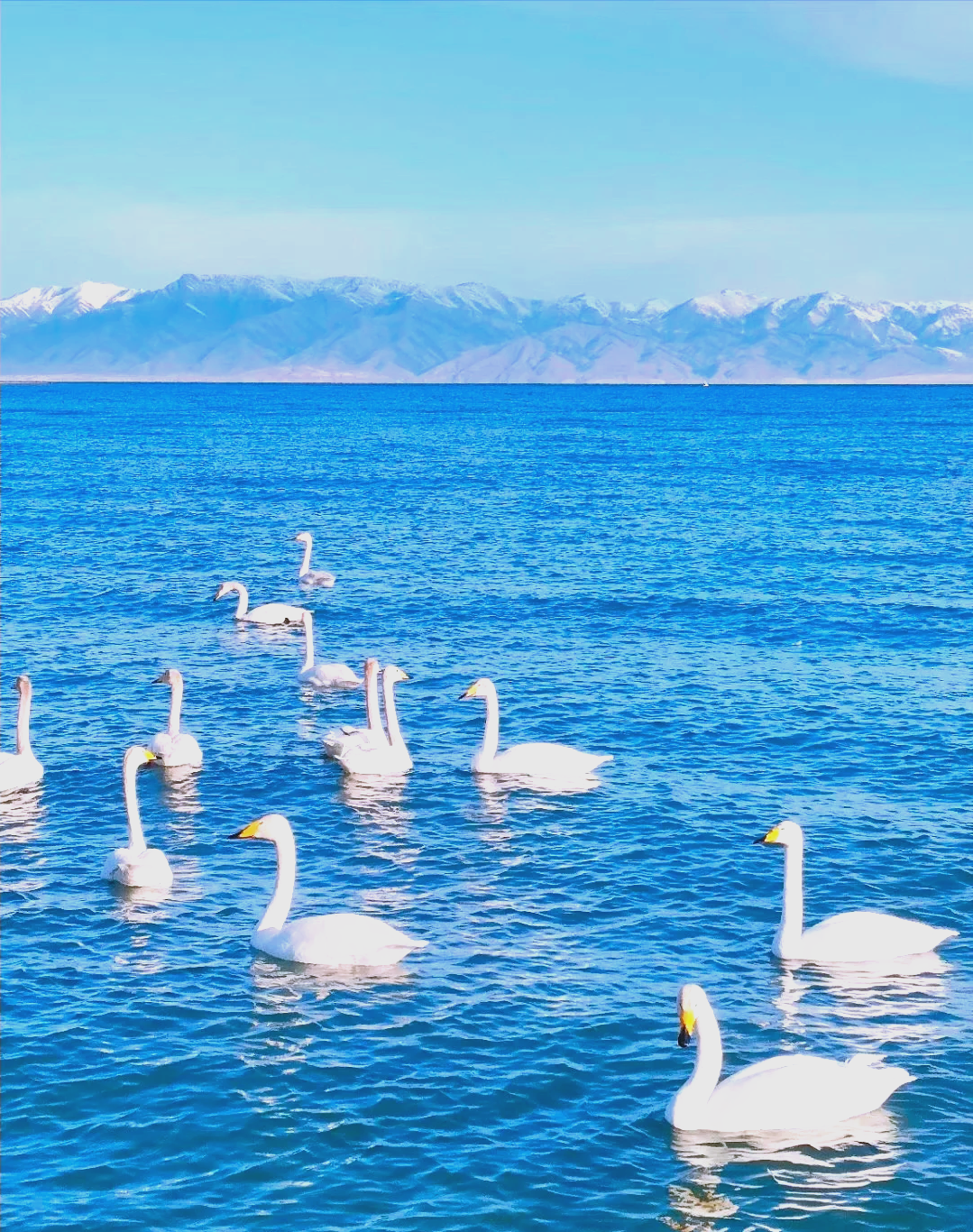 赛里木湖哪个点拍照,旅游帮手 赛里木湖哪个点拍照,旅游帮手