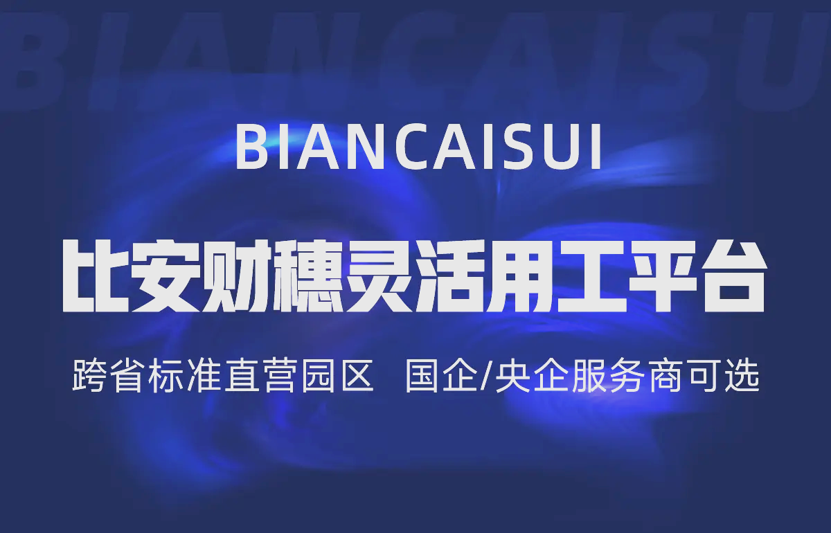 中国最大的十个灵活用工平台灵活用工平台哪个好的简单介绍