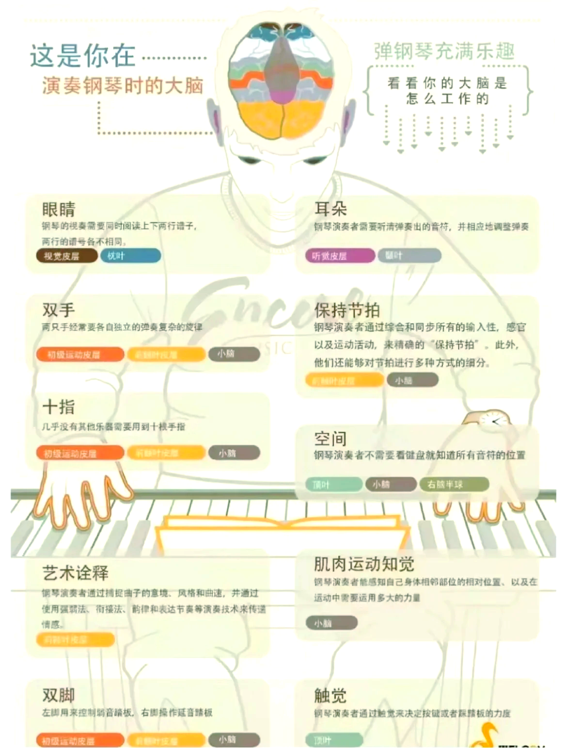为什么大家都学钢琴为什么在线 为什么大家都学钢琴为什么在线