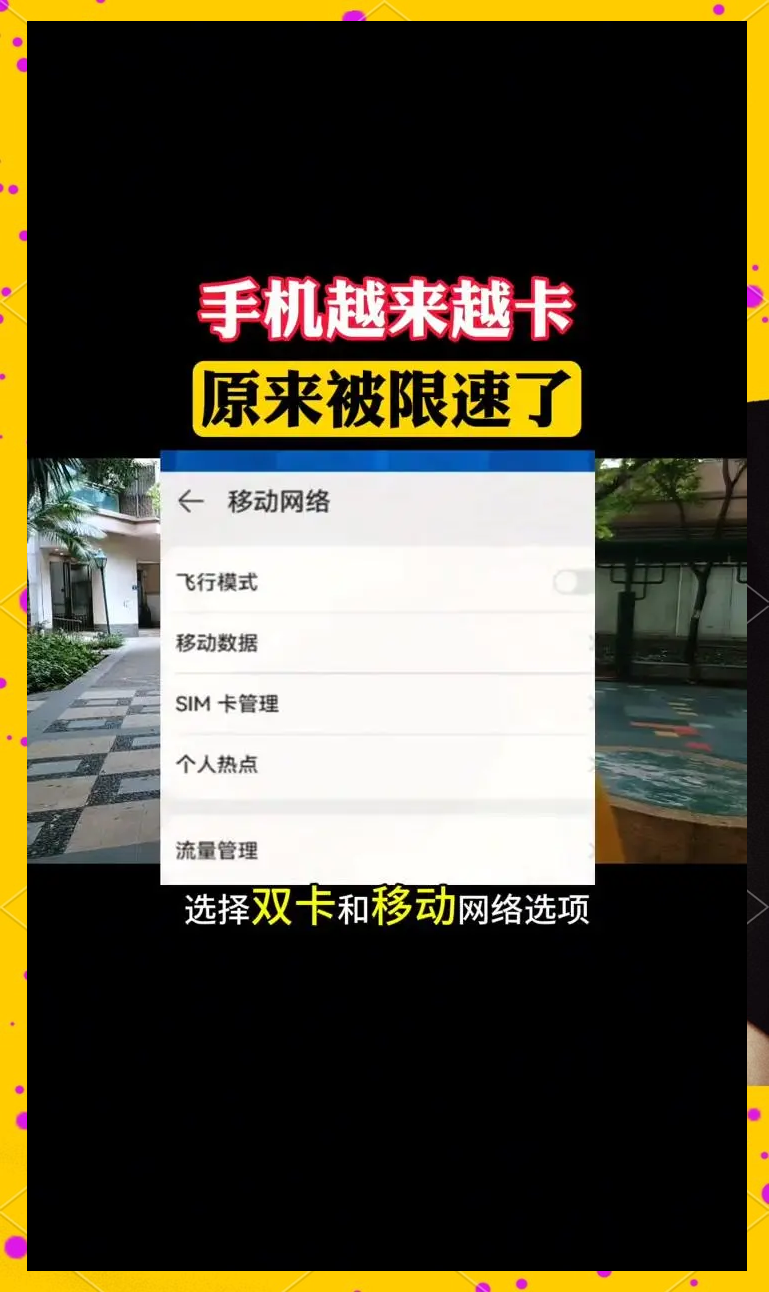 什么手机网速快(什么手机支持无线充电功能)