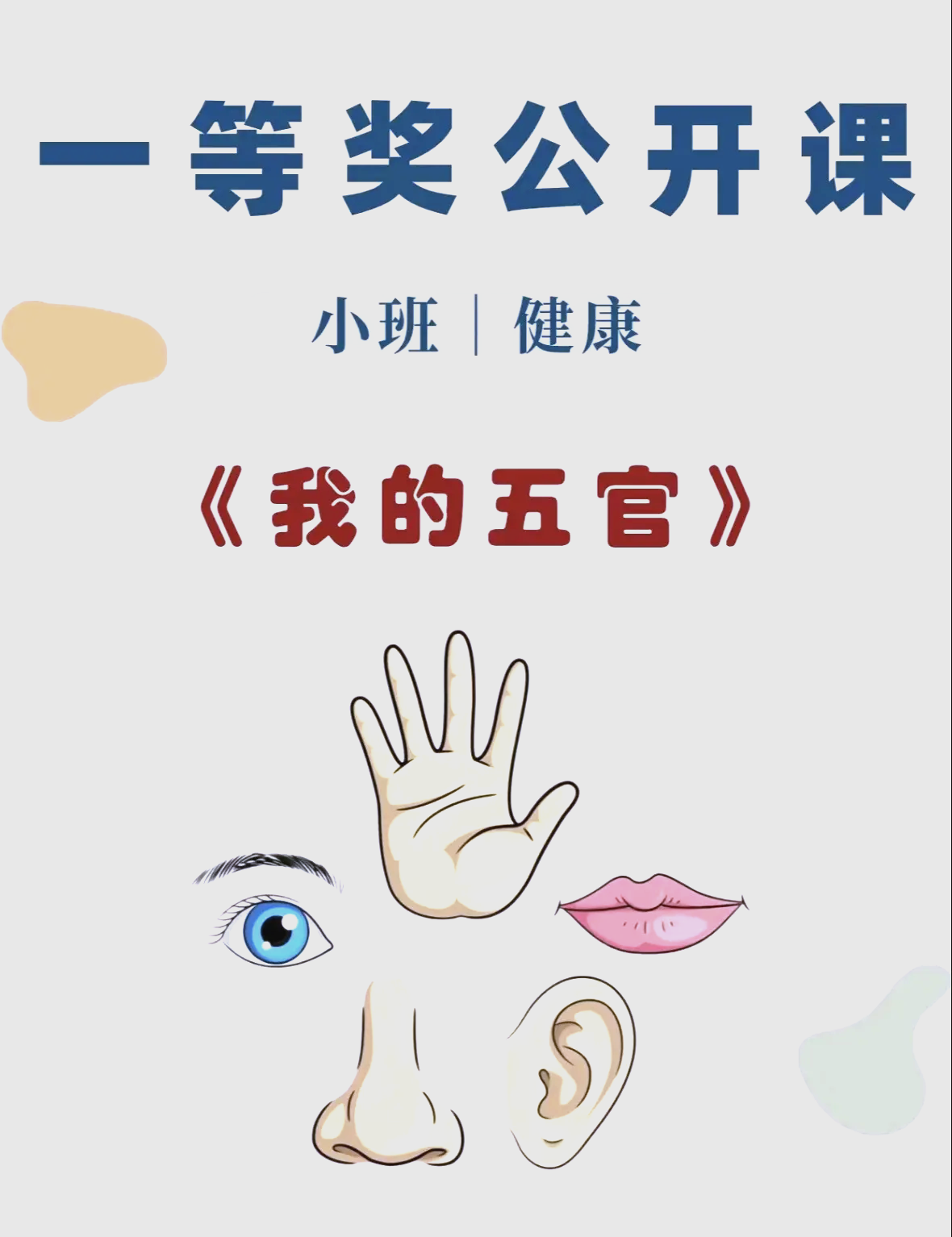 儿歌《我的五官》歌词