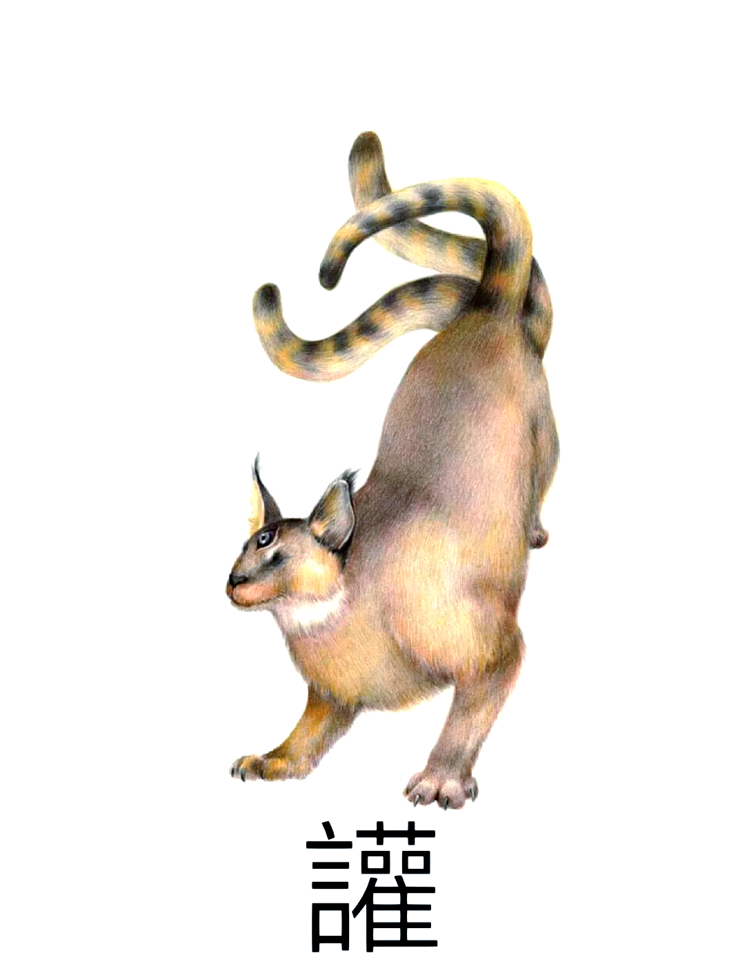 东宫娘娘代表什么动物