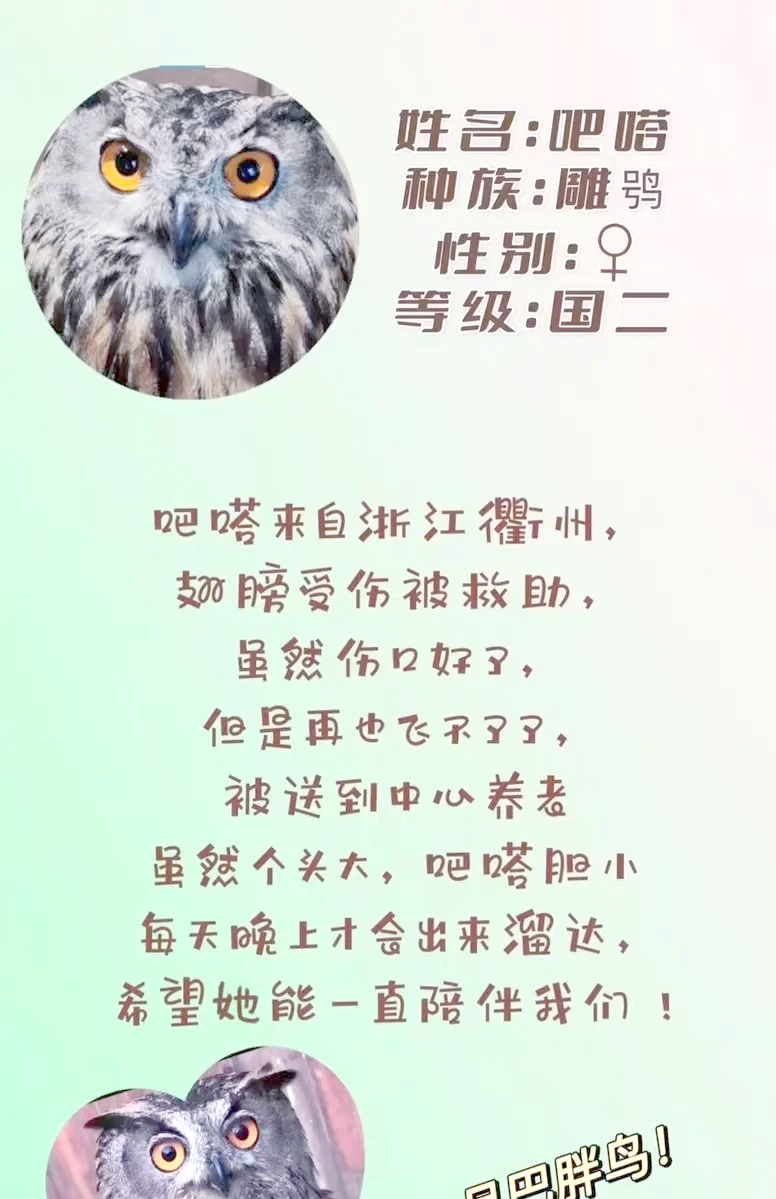 为什么放生