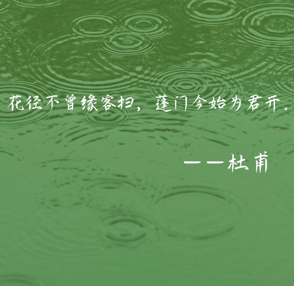 娘的蓬门为儿开