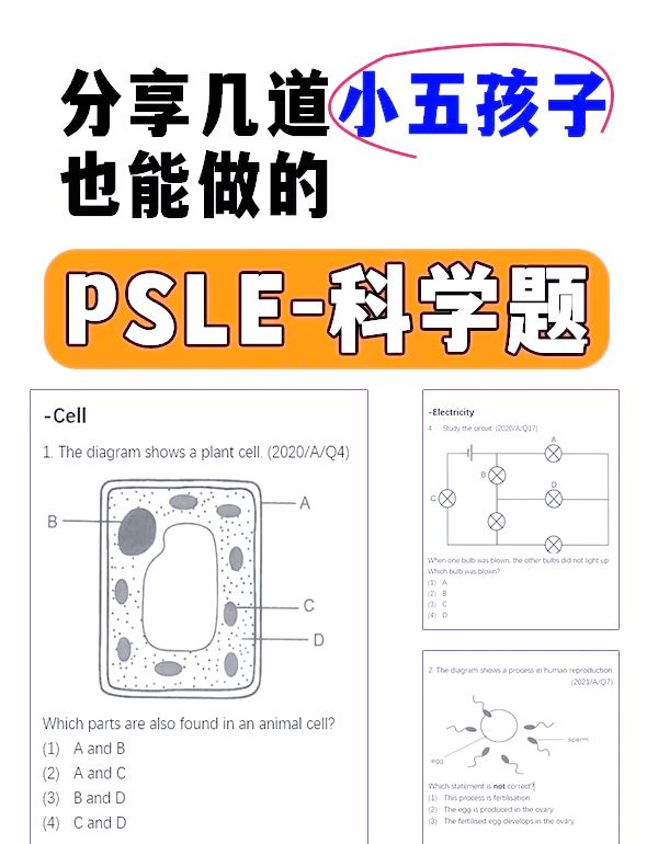 学习通ps图形测试单元测试答案（ps测试题目）