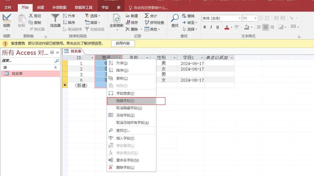 免费永久access软件使用指南