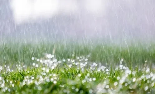 四月的天气今日情况