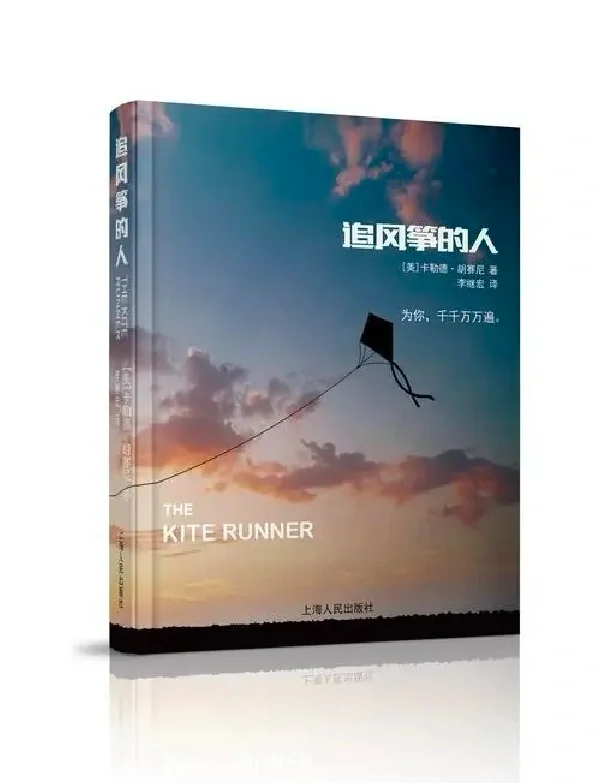 追风筝的人的介绍和追风筝的人经典名句剧情分析