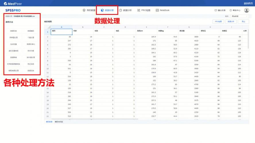 论文数据统计分析软件