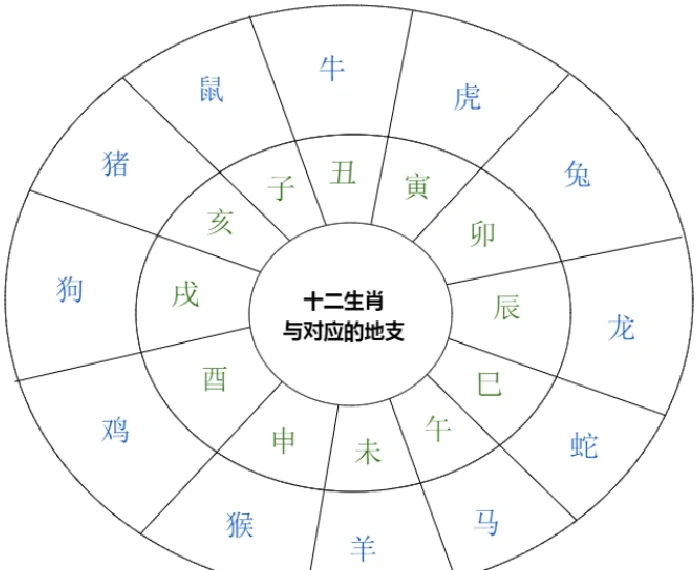 十二生肖在天干的运势(十二生肖天干读法)