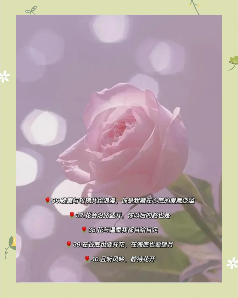 qq个性描述花文案生活的简单介绍