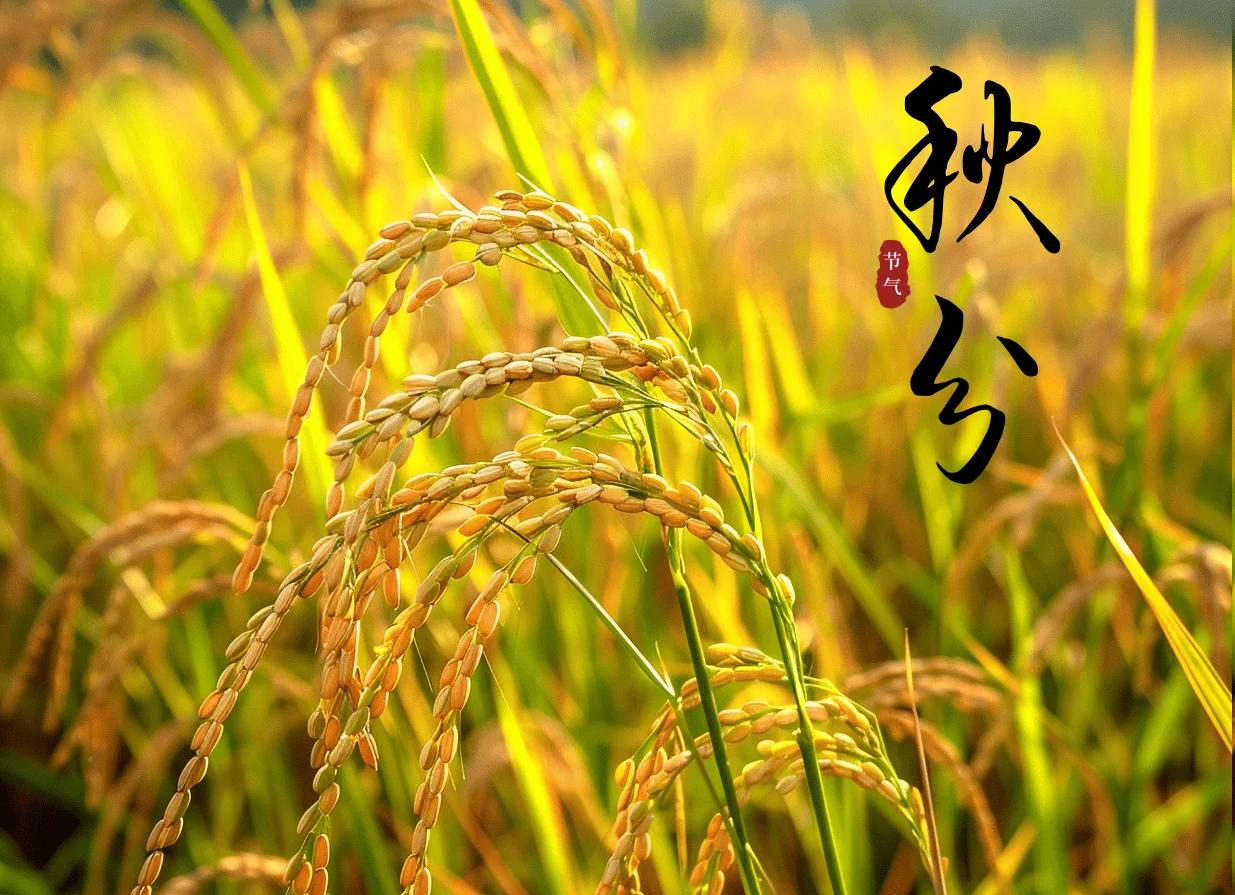 秋分十美