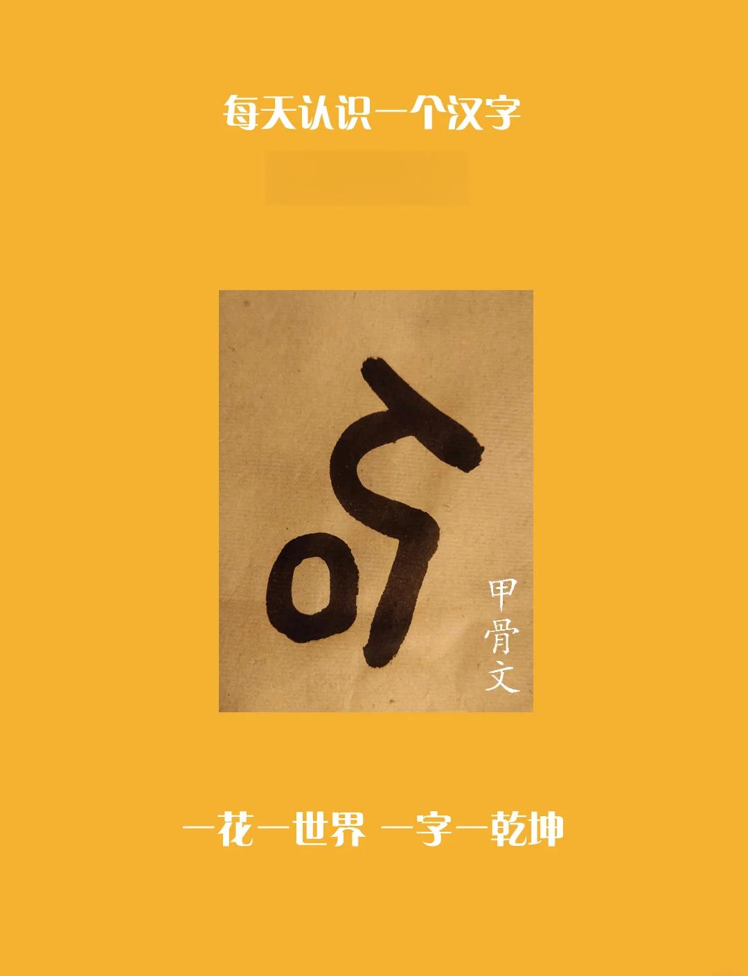 坐字代表什么生肖动物