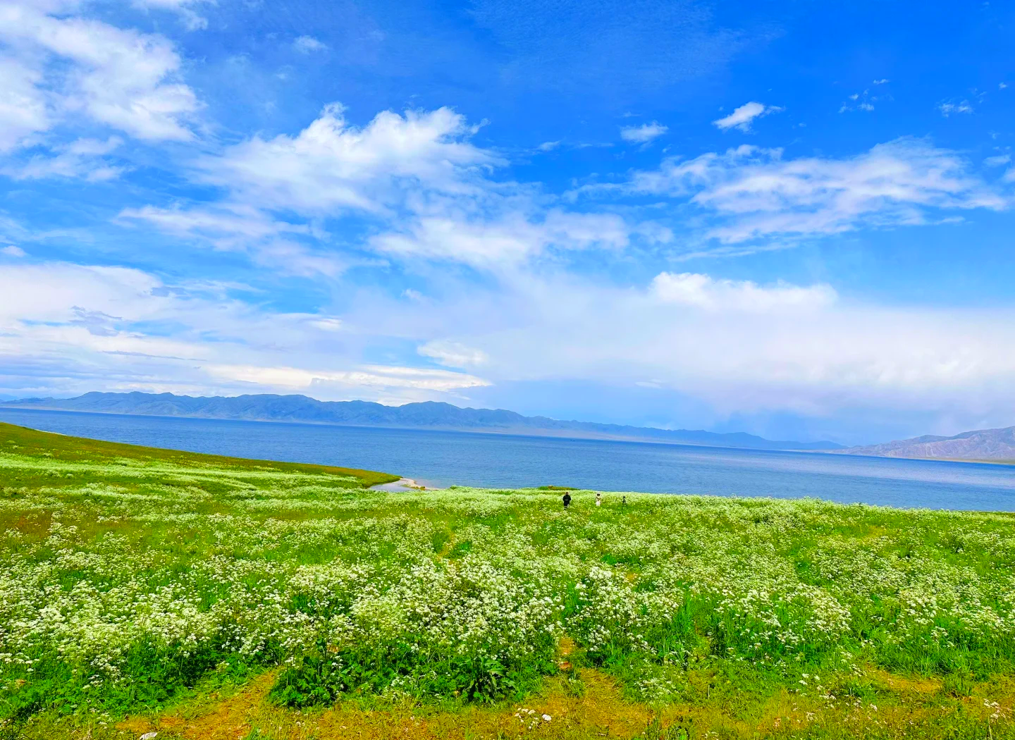 赛里木湖国庆七天旅游攻略的简单介绍 赛里木湖国庆七天旅游攻略的简单介绍