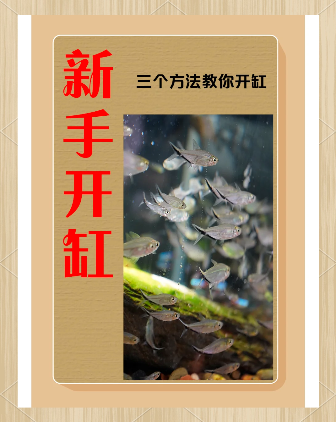 开缸教程