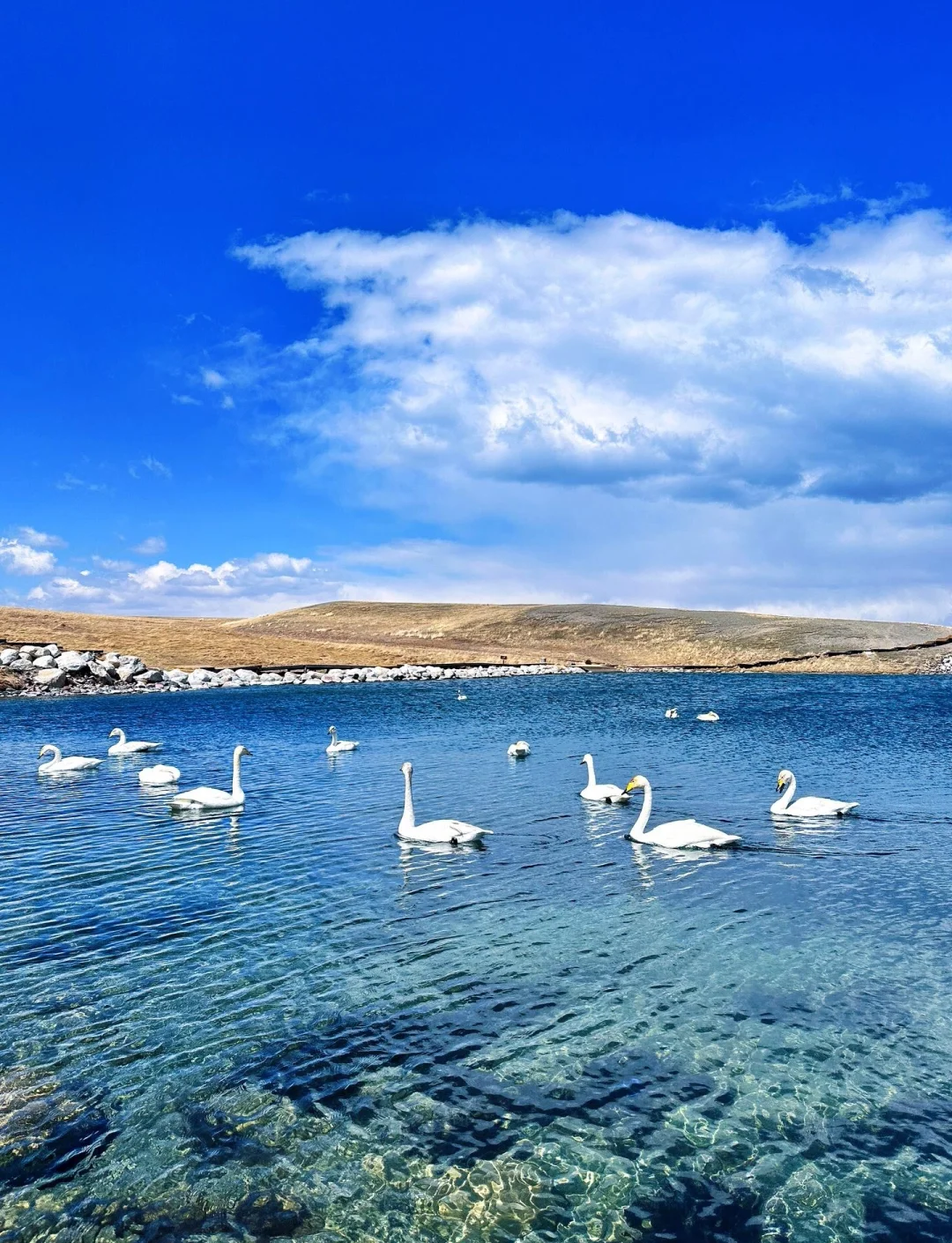 湛江自驾赛里木湖攻略书,旅游帮手 湛江自驾赛里木湖攻略书,旅游帮手