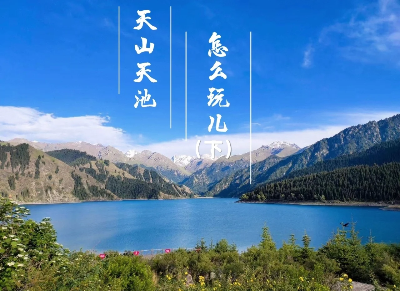 新疆天山天池海西景区