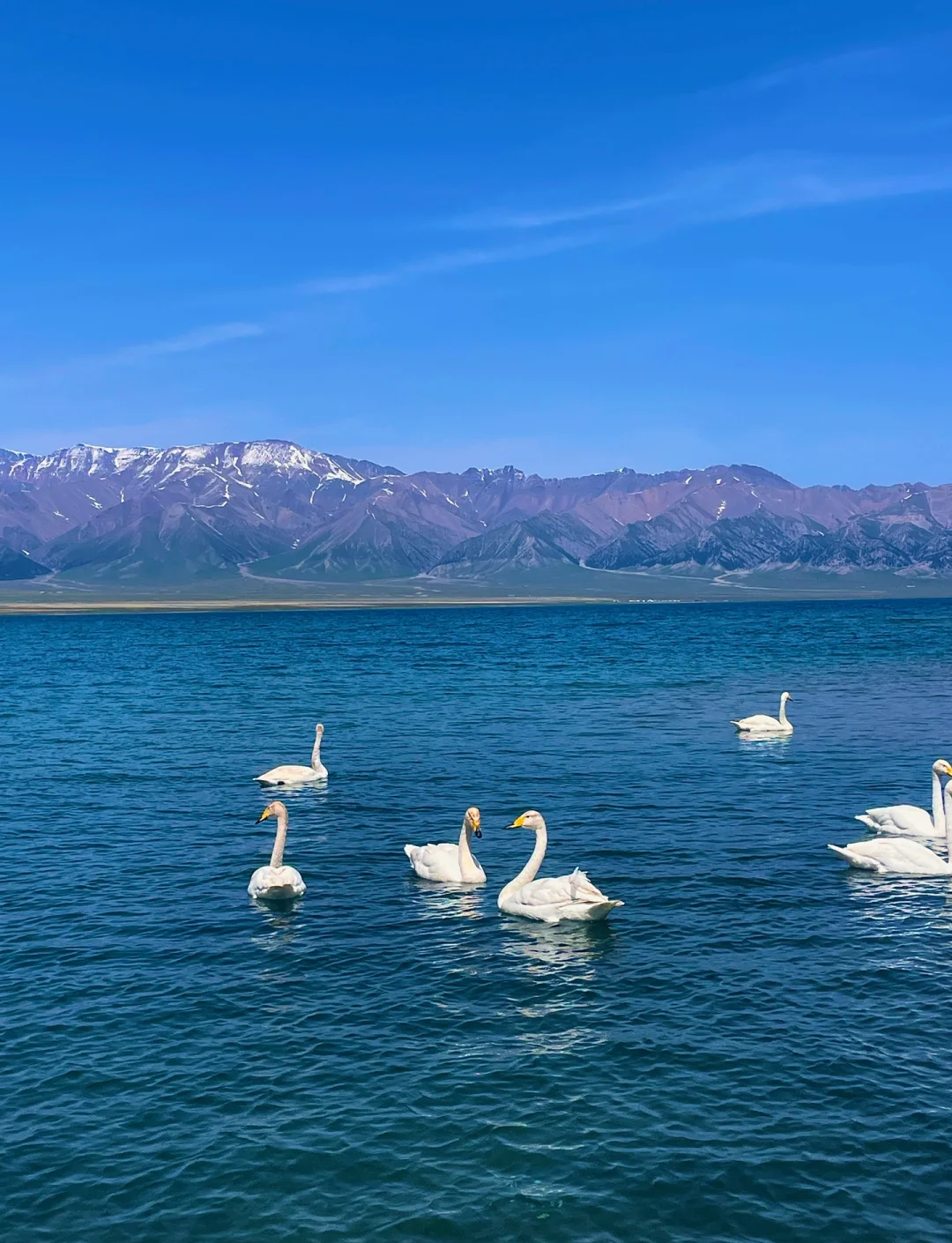 赛里木湖各景点拍照,旅游帮手 赛里木湖各景点拍照,旅游帮手