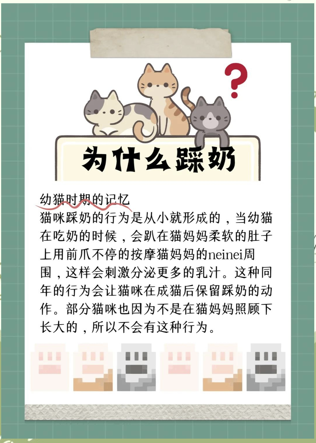 猫踩奶是认主人了吗为什么在线