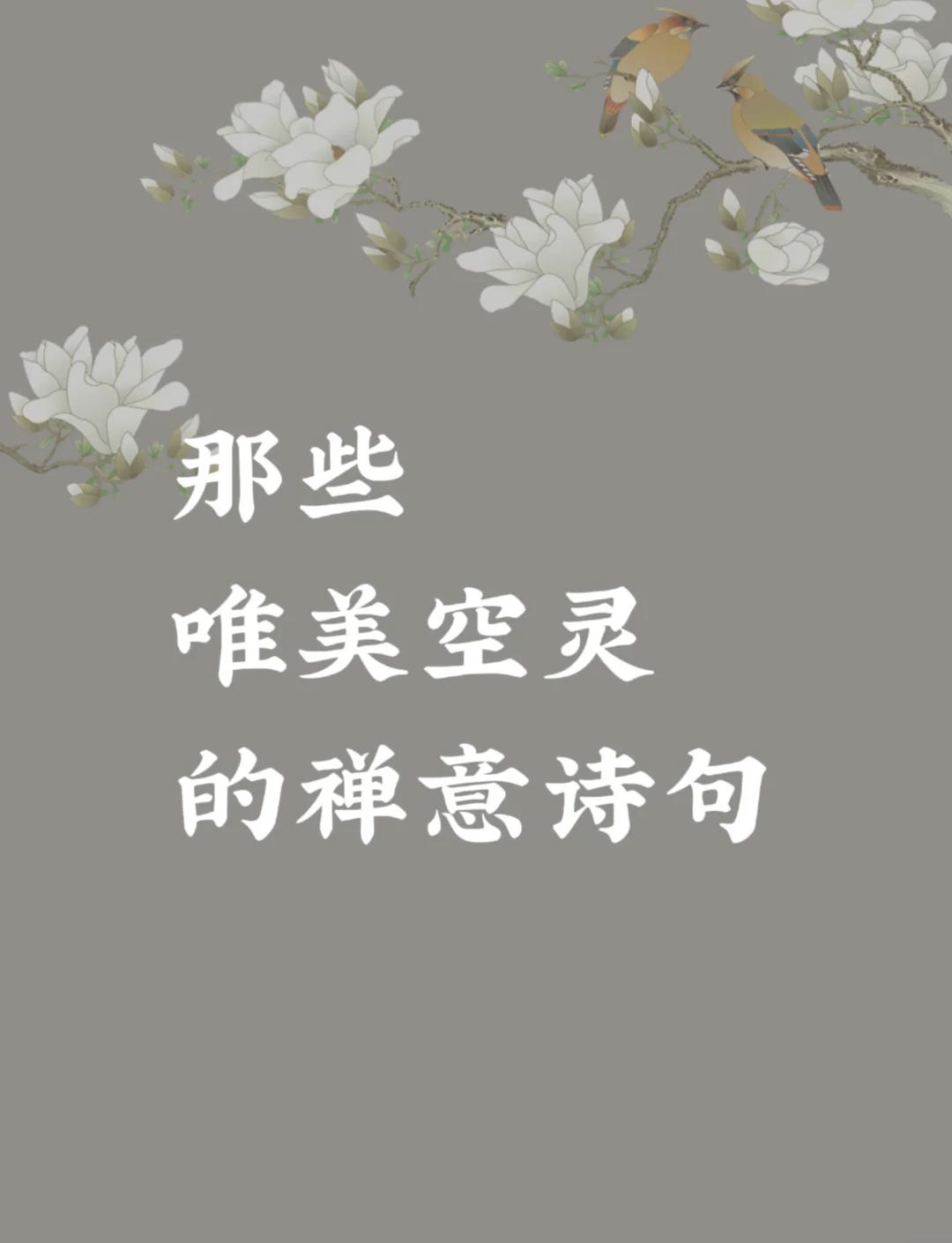 最唯美禅意的诗句