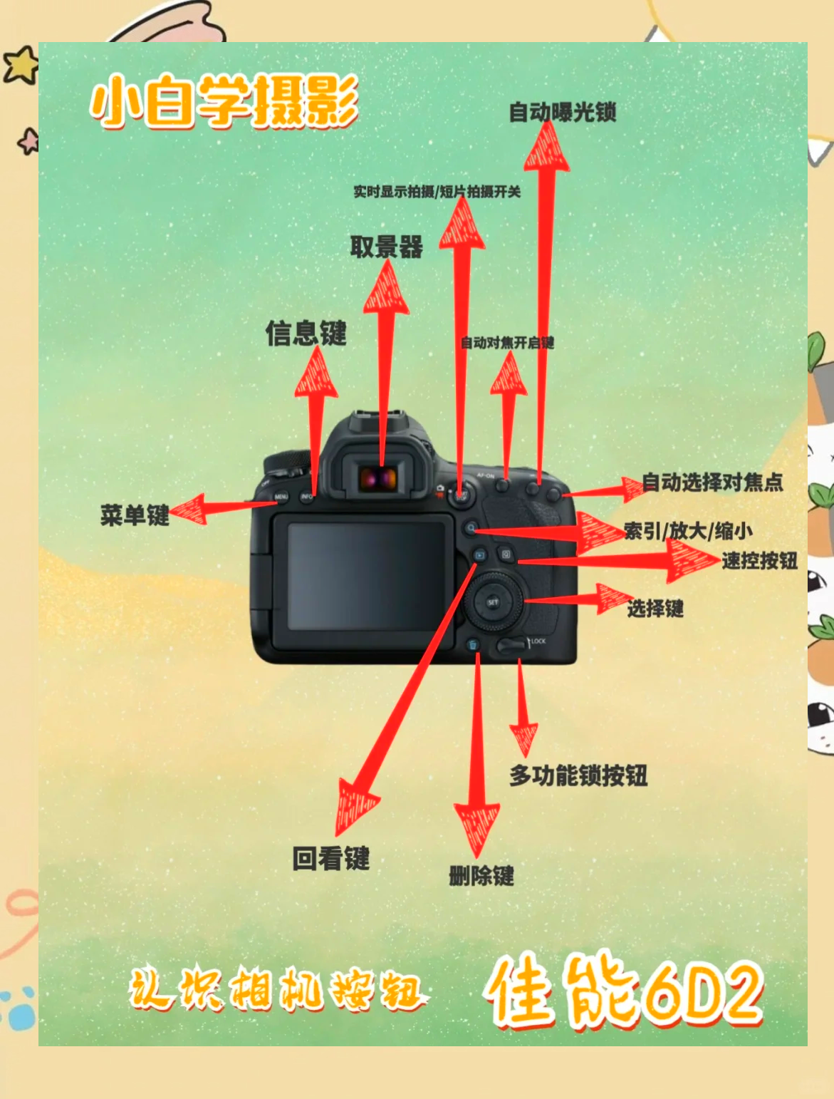 摄影拍摄技巧教程引导,技巧大全