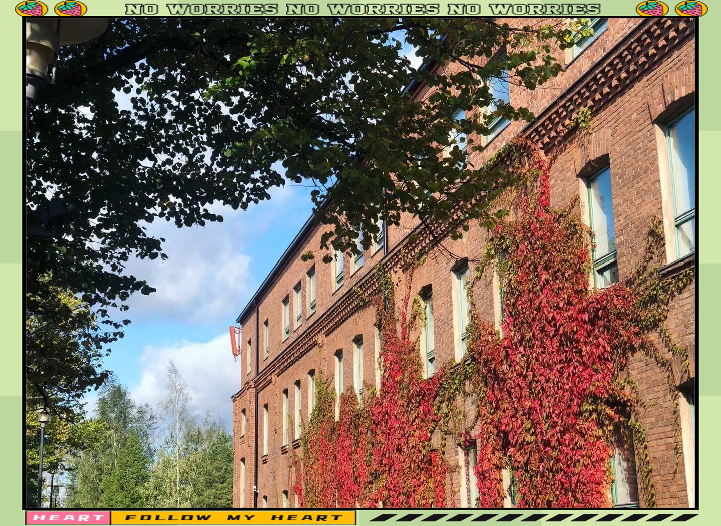 芬兰留学攻略 芬兰留学攻略