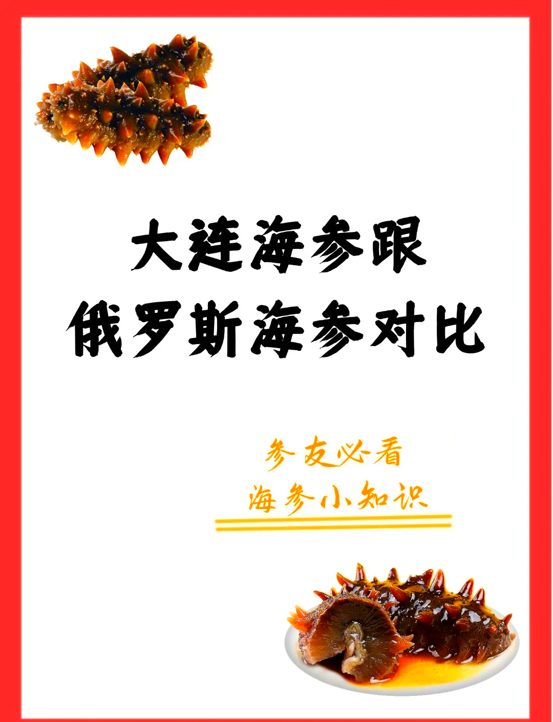 俄罗斯海参和大连海参哪个好百科在线