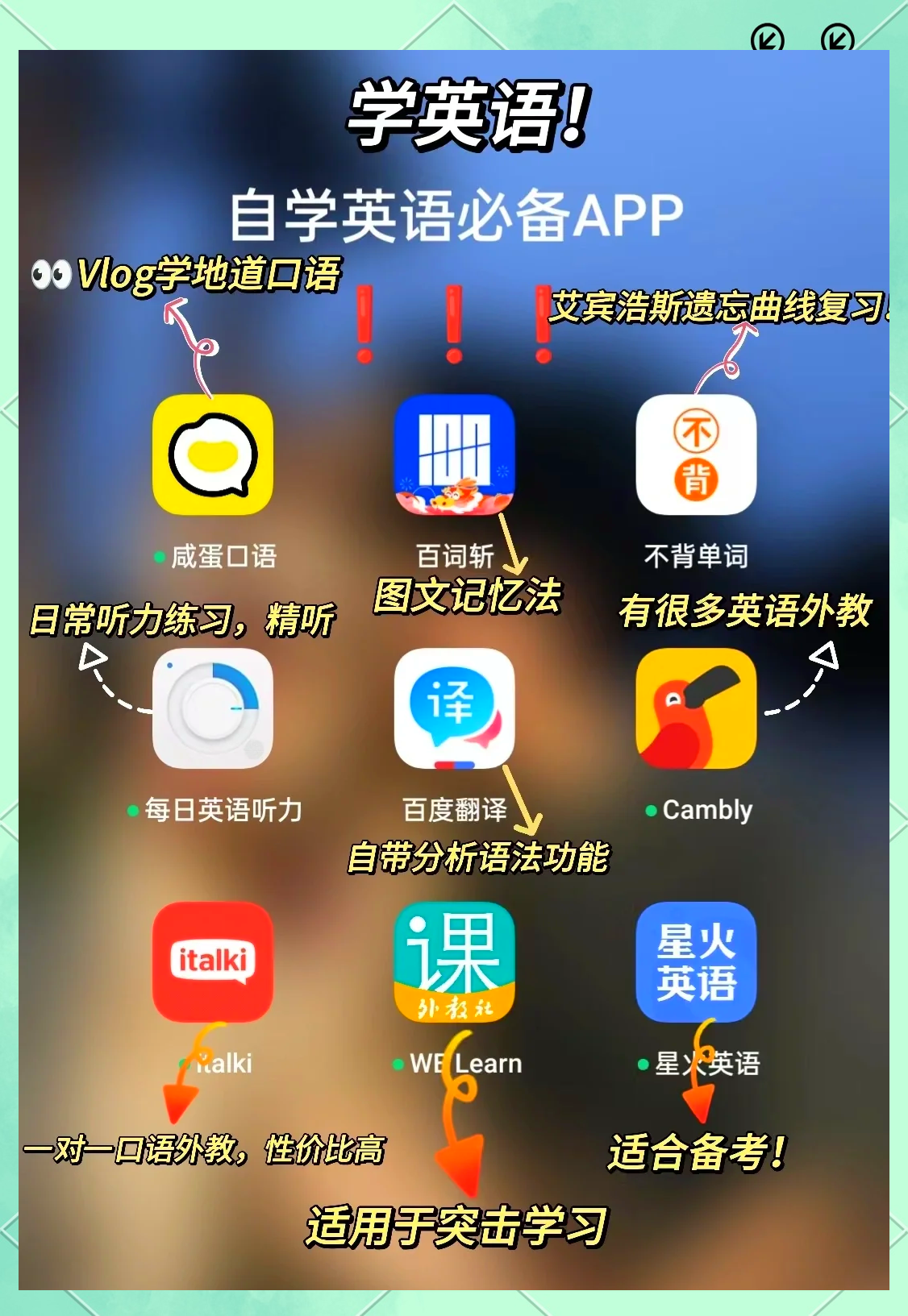 初一英语学习APP推荐（单词专项）的简单介绍