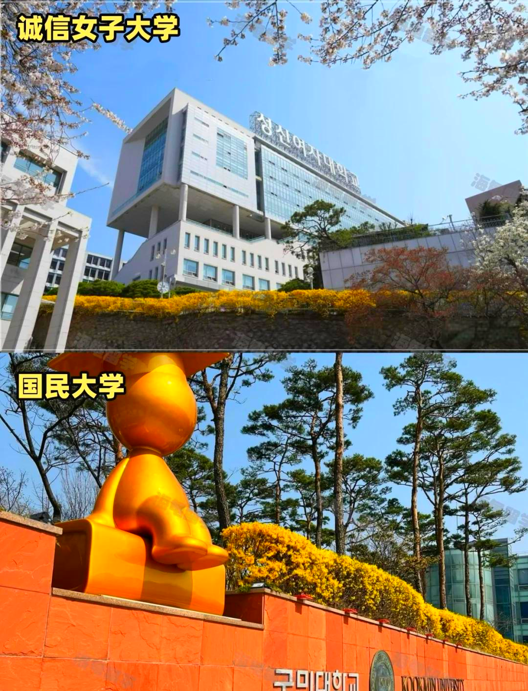 日韩硕士留学公司