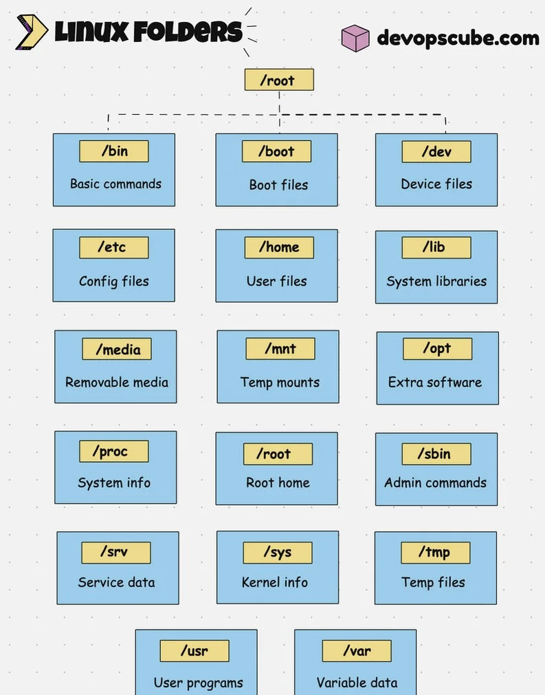linux+cp目录下所有文件