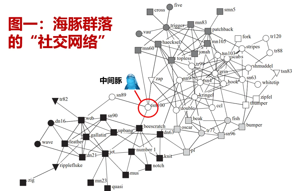海豚php框架
