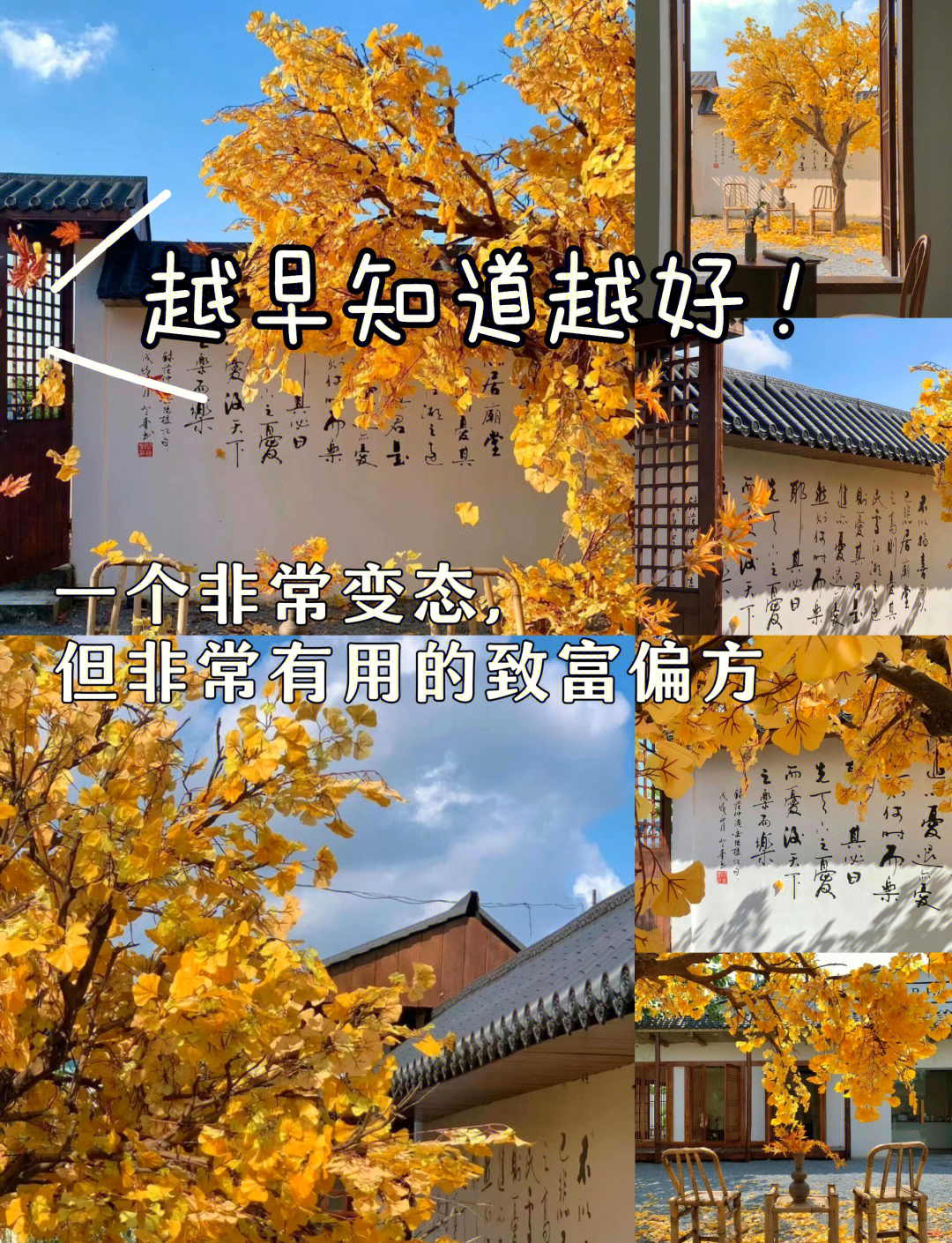 致富人生8.8元能提现吗(致富人生88元能提现吗是真的吗)