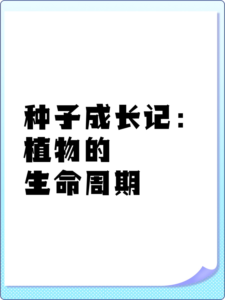 小学植物的生命周期专项(种子萌发)(植物的生长周期一般包括种子什么什么和结果四个阶段) 小学植物的生命周期专项(种子萌发)(植物的生长周期一般包括种子什么什么和结果四个阶段)