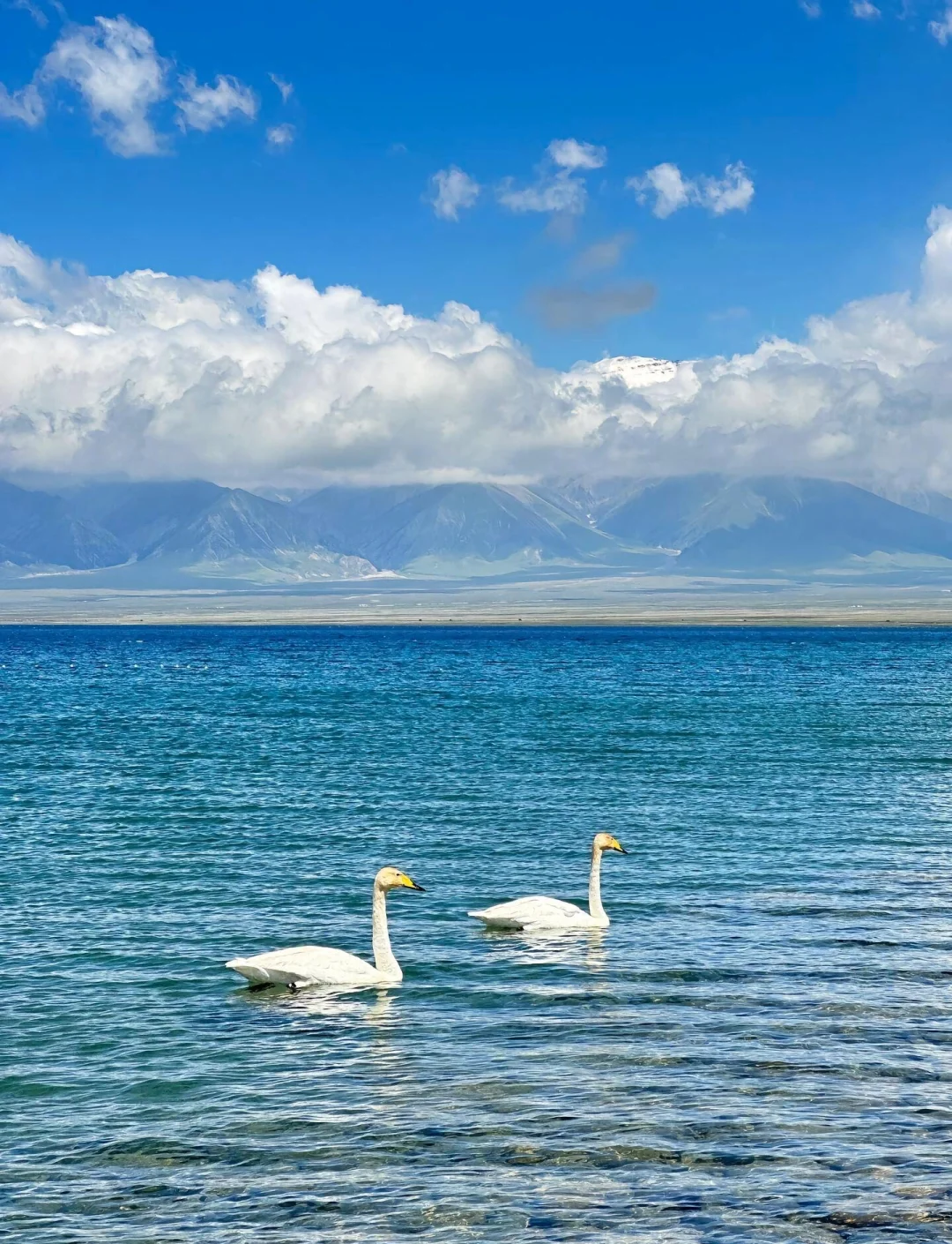 赛里木湖拍照logo,旅游帮手 赛里木湖拍照logo,旅游帮手