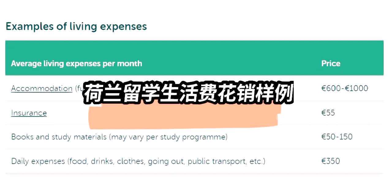 荷兰留学学费多少(新西兰留学一年费用)