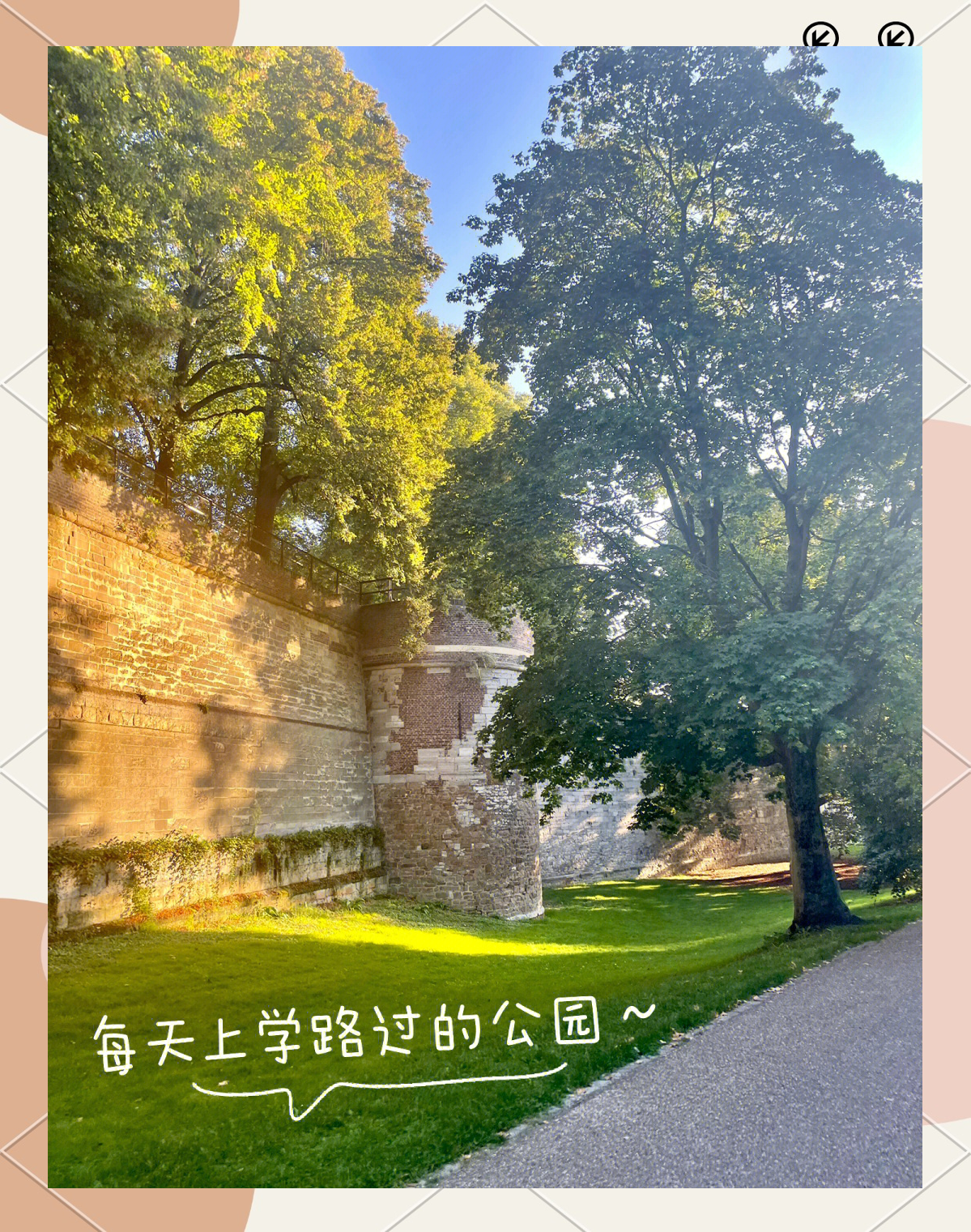 怎么去荷兰留学 怎么去荷兰留学