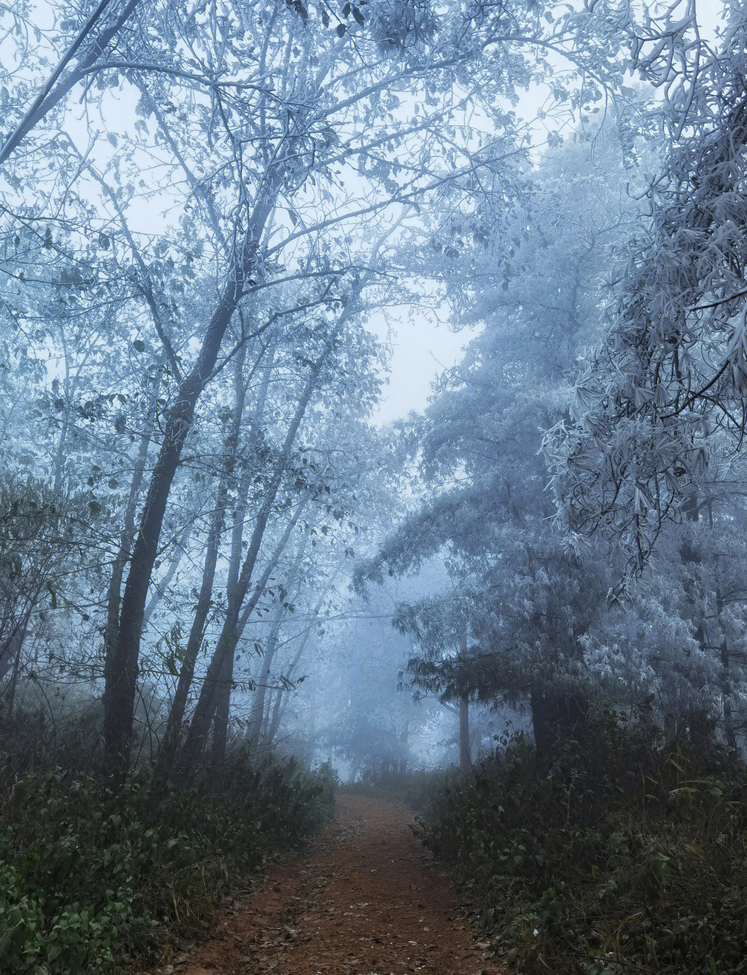 昆明冬天天气预报 昆明冬天天气预报
