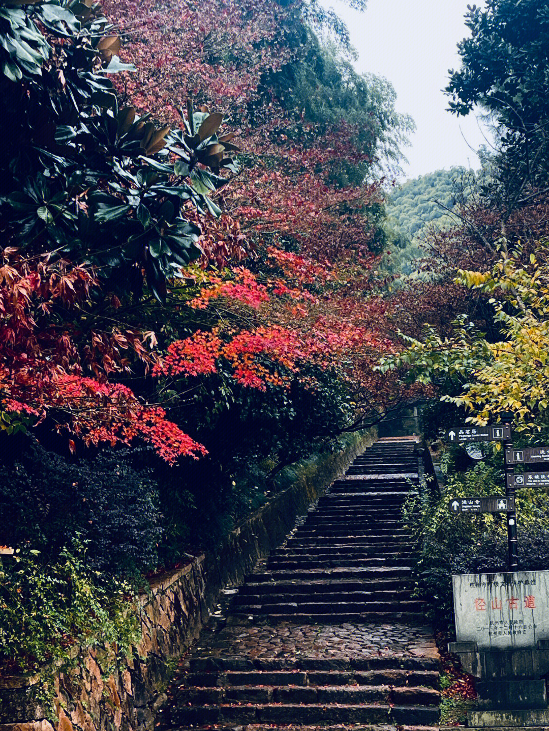 径山天气马上知