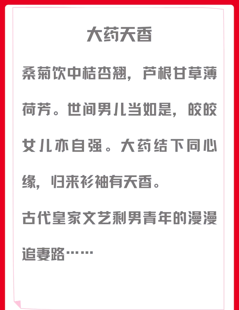 凌家医术传承小说