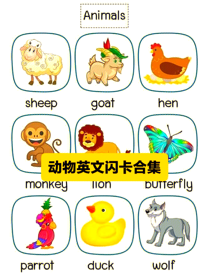 包含一年级英语单词（动物类）的词条