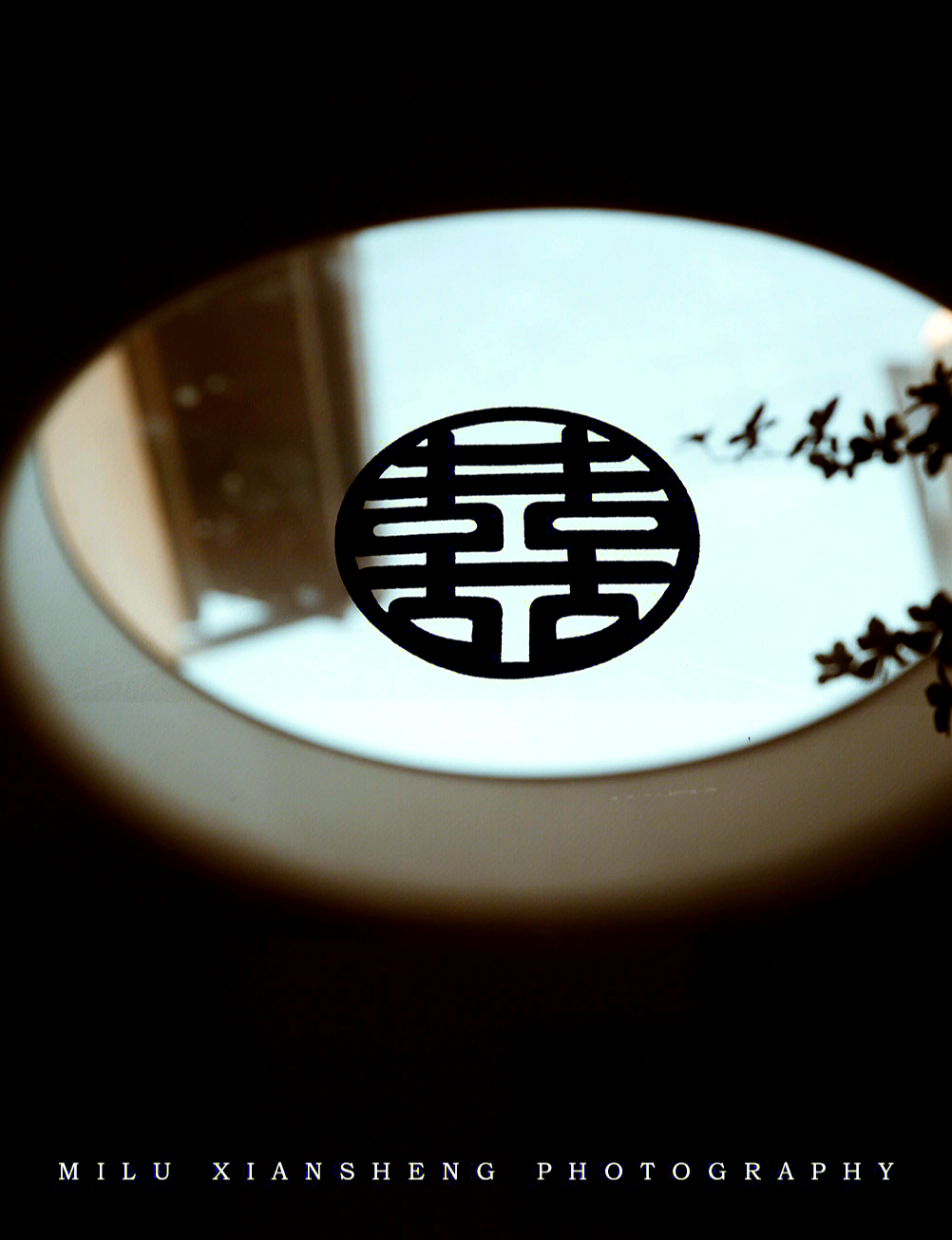 关于结婚摄影拍摄教程大全集的信息 关于结婚摄影拍摄教程大全集的信息