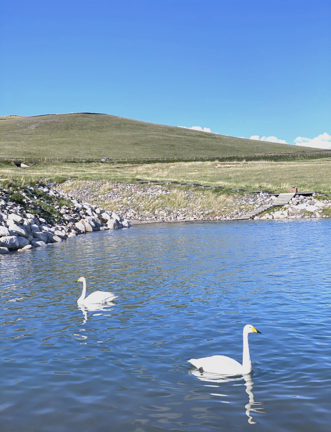 赛里木湖拍照被吐槽,旅游帮手 赛里木湖拍照被吐槽,旅游帮手