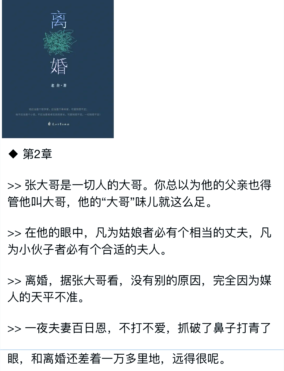第一章离婚的小说名字