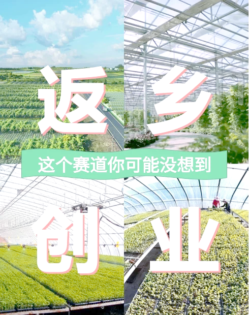 农村创业的好项目2021年(2021农村创业项目排行榜前十名)