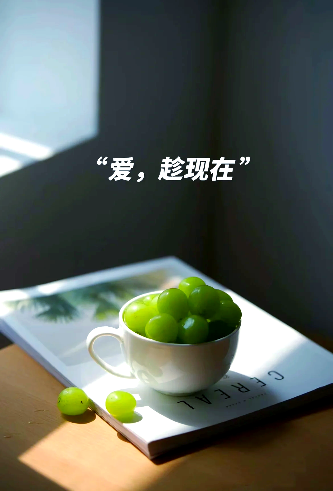 时光清浅出处(时光清浅上一句)