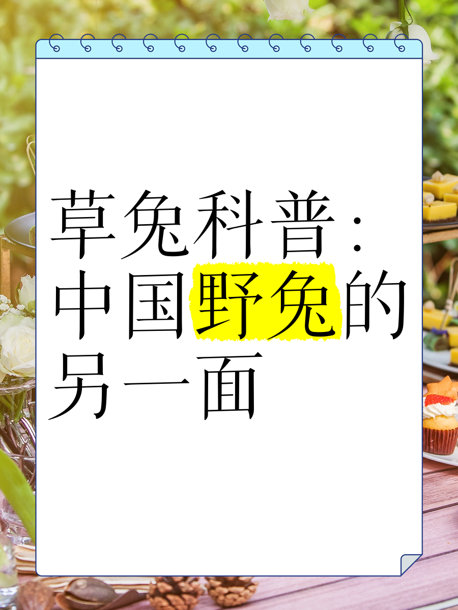 中国为何叫兔国(为什么把中国叫兔)